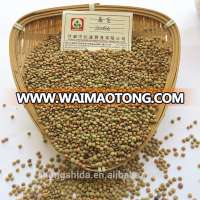 Chinese Lentils Cheapest Price Gansu Origin for sale